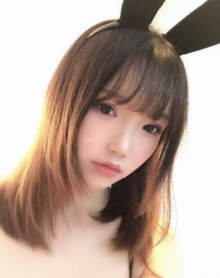 《假树》电影在线观看_BD免费全集观看